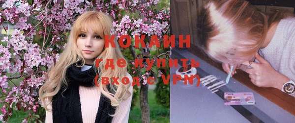 индика Алзамай