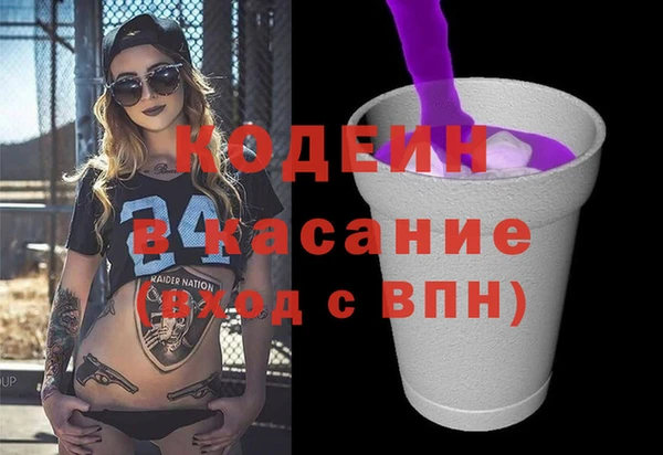 индика Алзамай