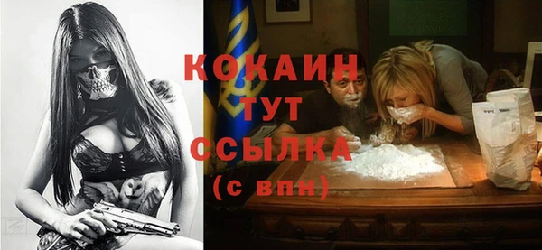 индика Алзамай